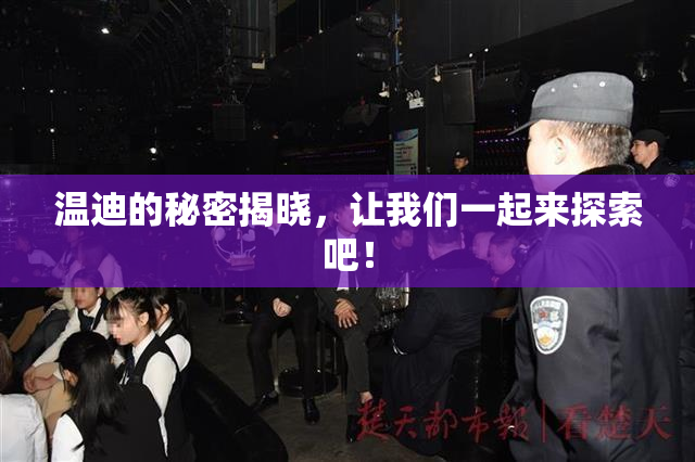 温迪的秘密揭晓，让我们一起来探索吧！