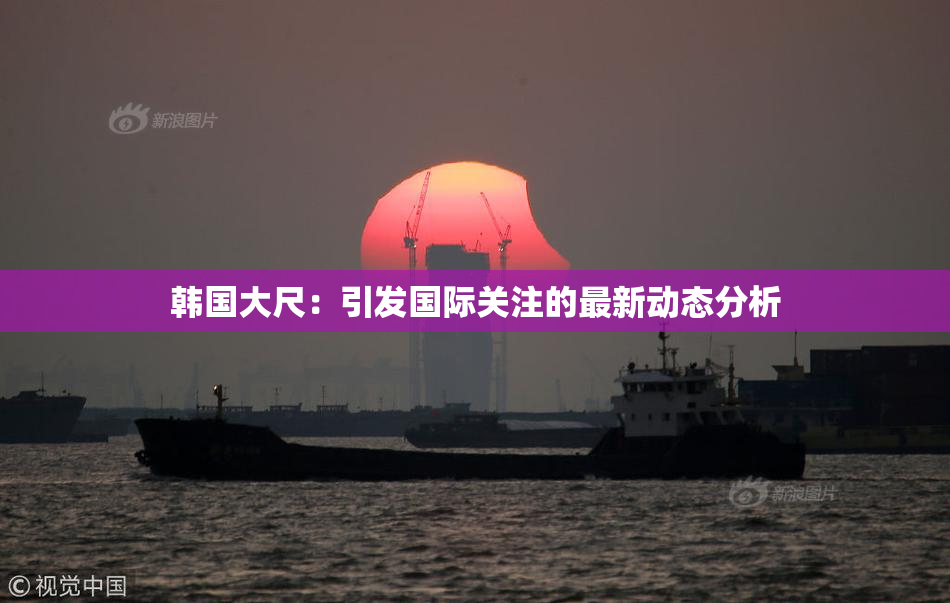 韩国大尺：引发国际关注的最新动态分析