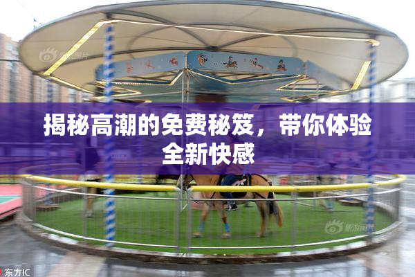 揭秘高潮的免费秘笈，带你体验全新快感