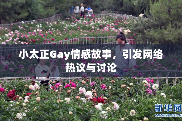 小太正Gay情感故事，引发网络热议与讨论