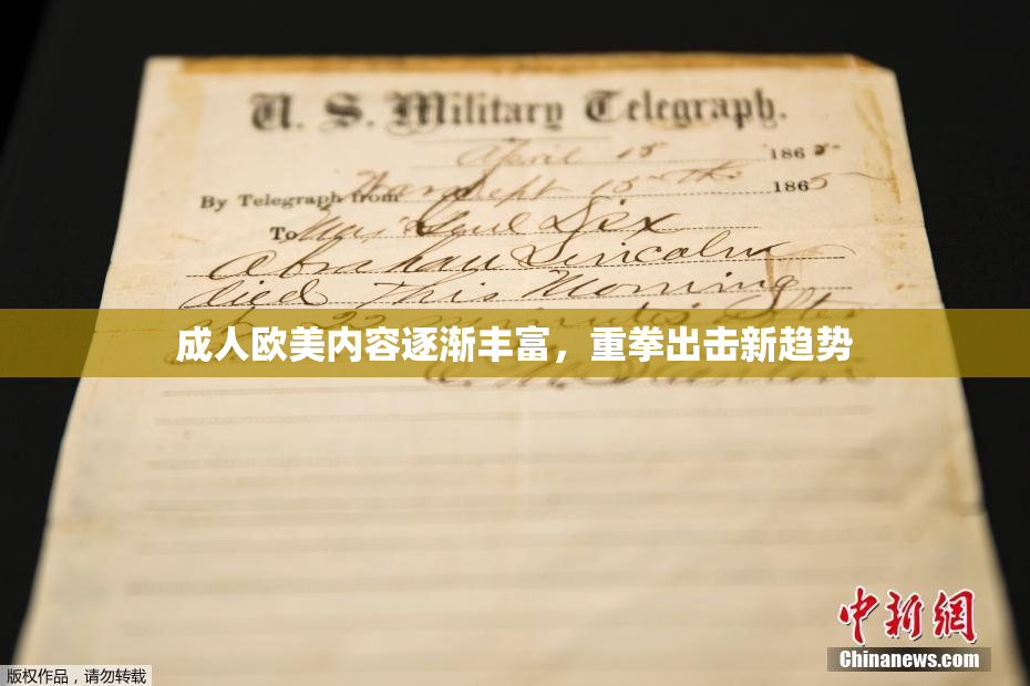 成人欧美内容逐渐丰富，重拳出击新趋势