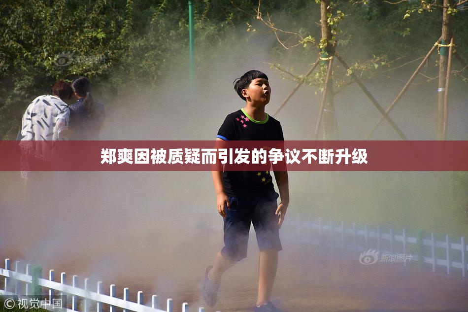 郑爽因被质疑而引发的争议不断升级