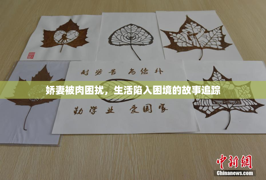 娇妻被肉困扰，生活陷入困境的故事追踪