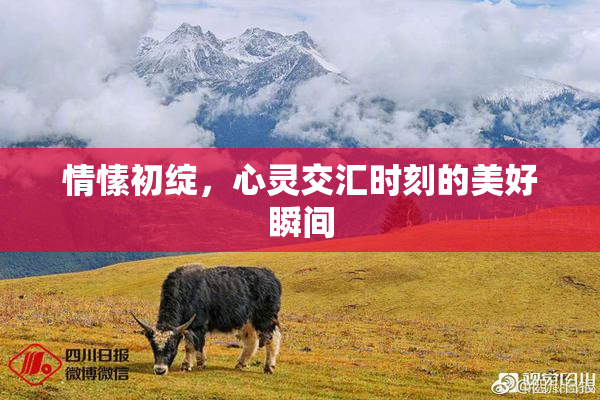 情愫初绽，心灵交汇时刻的美好瞬间