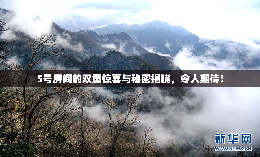 5号房间的双重惊喜与秘密揭晓，令人期待！