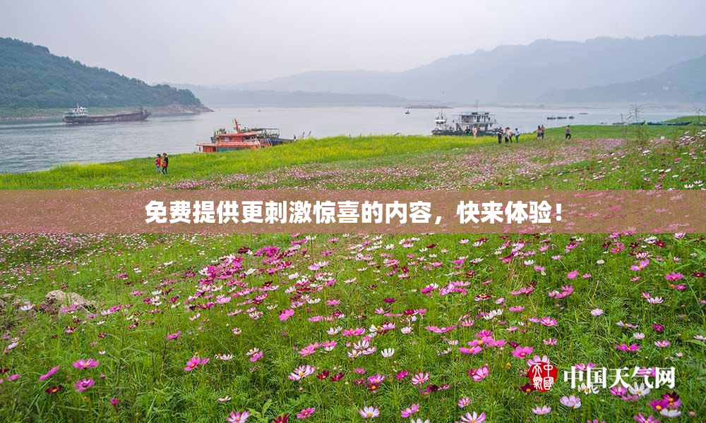 免费提供更刺激惊喜的内容，快来体验！