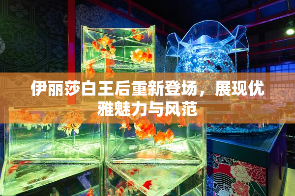 伊丽莎白王后重新登场，展现优雅魅力与风范