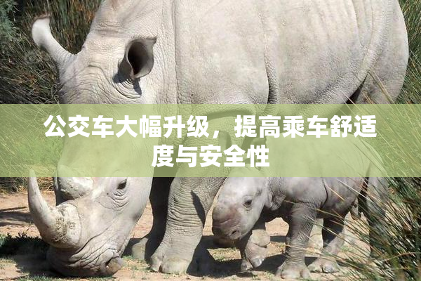 公交车大幅升级，提高乘车舒适度与安全性