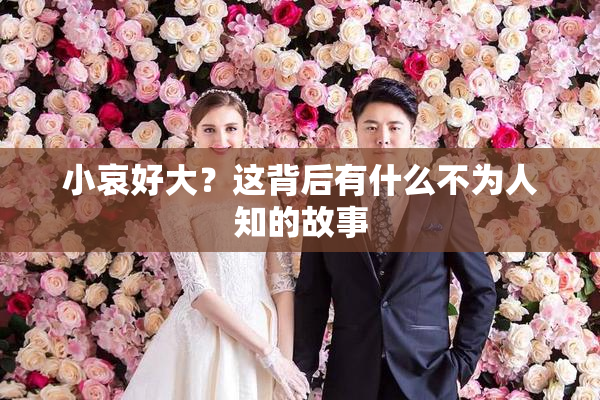 小哀好大？这背后有什么不为人知的故事