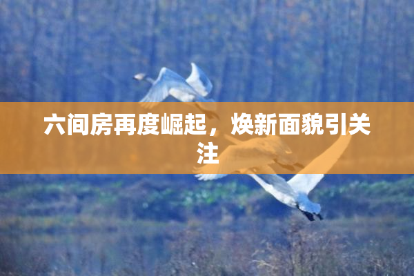 六间房再度崛起，焕新面貌引关注