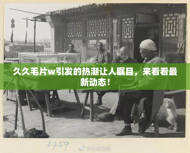 久久毛片w引发的热潮让人瞩目，来看看最新动态！