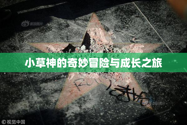 小草神的奇妙冒险与成长之旅