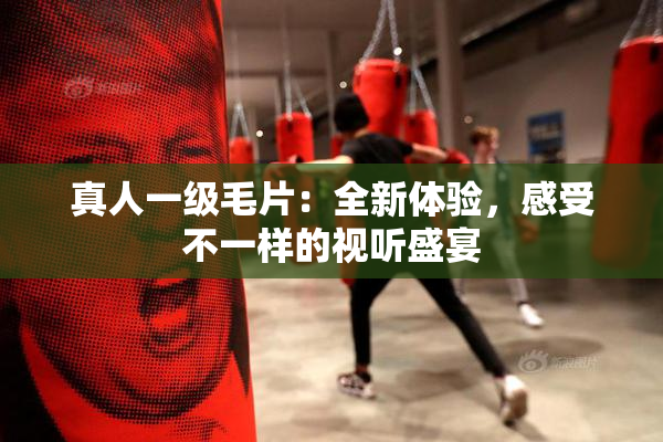 真人一级毛片：全新体验，感受不一样的视听盛宴