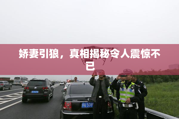 娇妻引狼，真相揭秘令人震惊不已