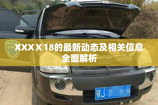 XXXⅩ18的最新动态及相关信息全面解析
