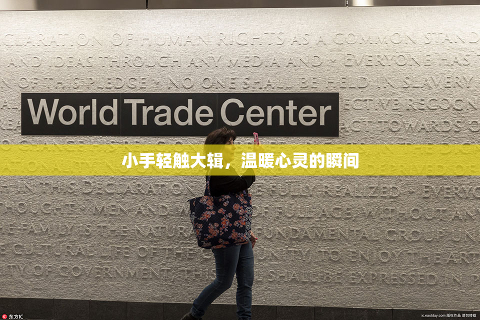 小手轻触大辑，温暖心灵的瞬间