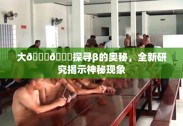大🐔🐔探寻β的奥秘，全新研究揭示神秘现象