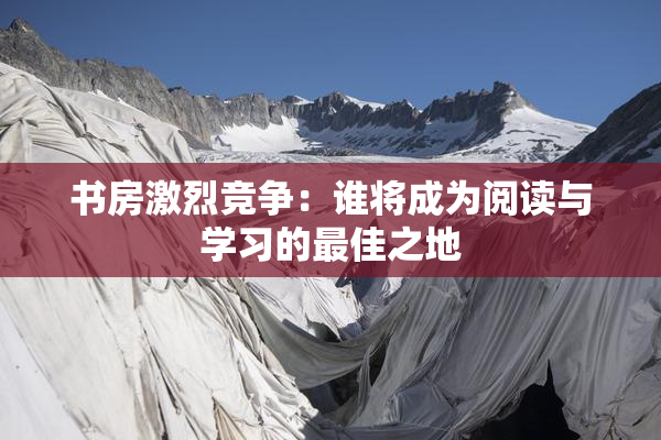 书房激烈竞争：谁将成为阅读与学习的最佳之地