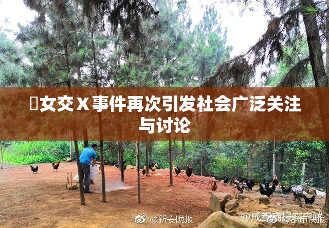 乣女交Ⅹ事件再次引发社会广泛关注与讨论