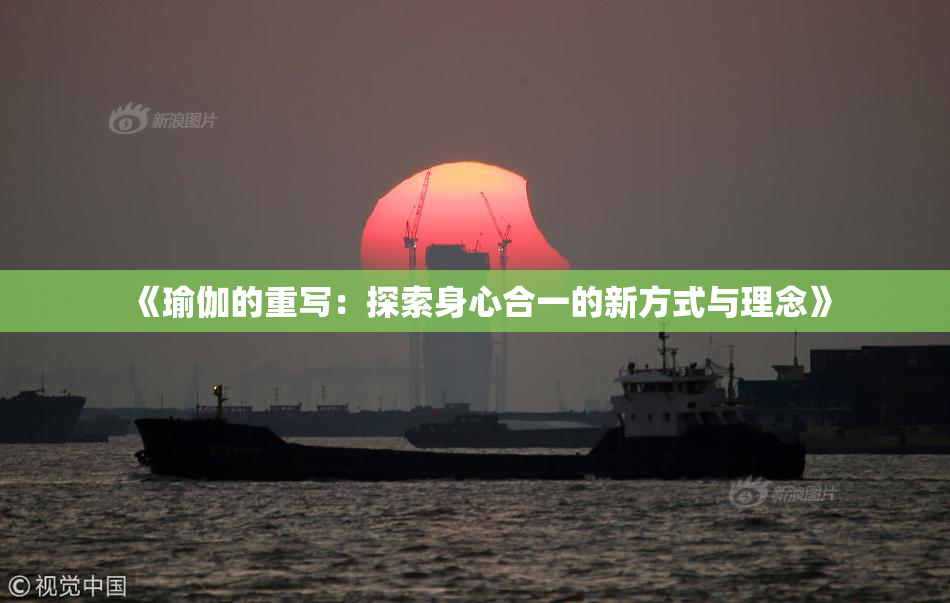《瑜伽的重写：探索身心合一的新方式与理念》