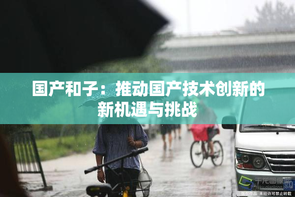国产和子：推动国产技术创新的新机遇与挑战