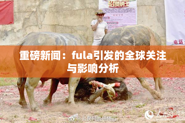 重磅新闻：fula引发的全球关注与影响分析