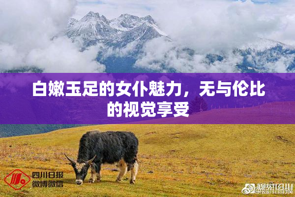 白嫩玉足的女仆魅力，无与伦比的视觉享受