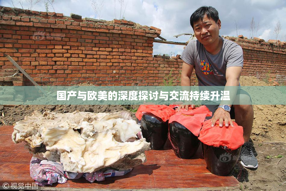 国产与欧美的深度探讨与交流持续升温