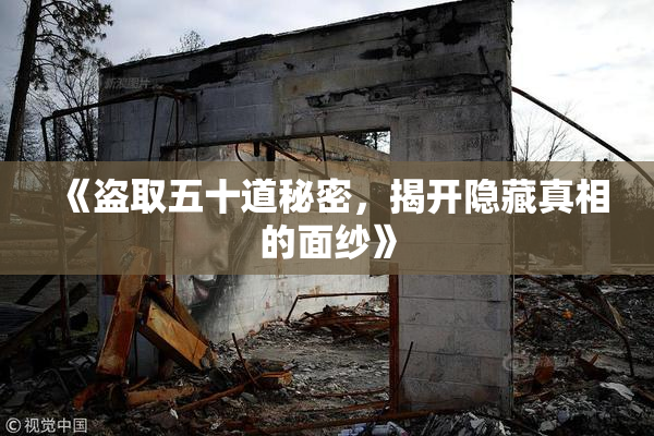 《盗取五十道秘密，揭开隐藏真相的面纱》