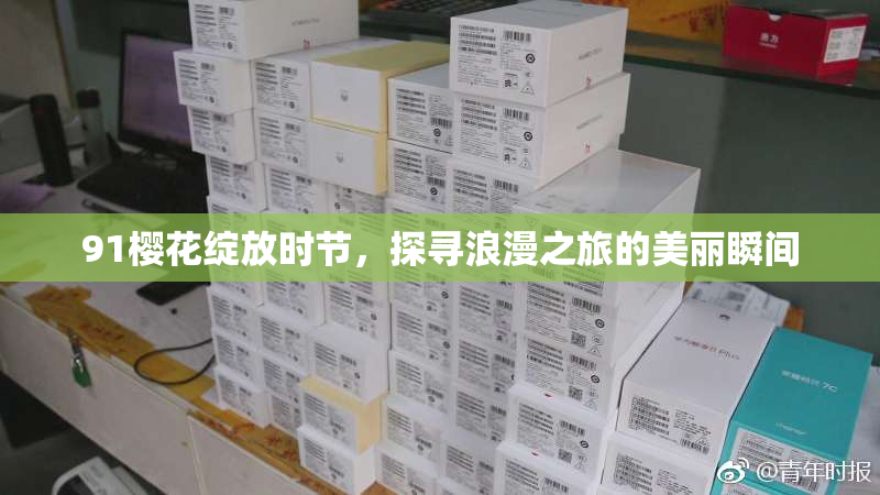 91樱花绽放时节，探寻浪漫之旅的美丽瞬间