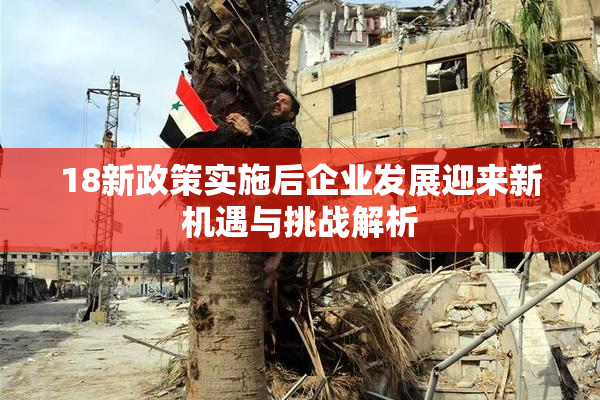 18新政策实施后企业发展迎来新机遇与挑战解析