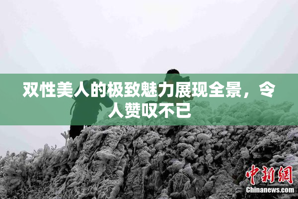 双性美人的极致魅力展现全景，令人赞叹不已