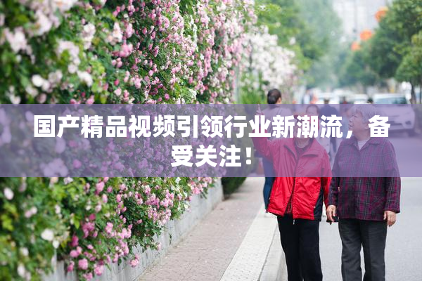 国产精品视频引领行业新潮流，备受关注！