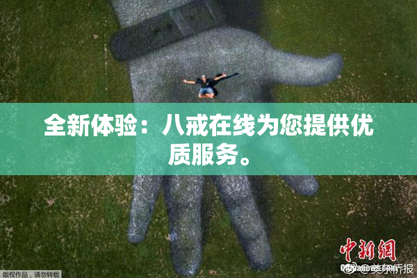 全新体验：八戒在线为您提供优质服务。