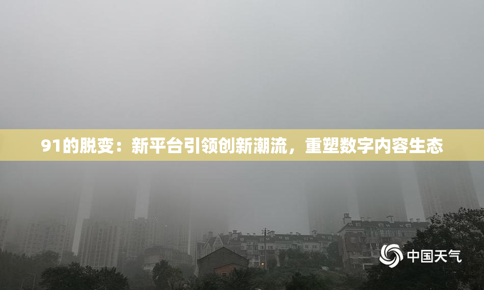 91的脱变：新平台引领创新潮流，重塑数字内容生态