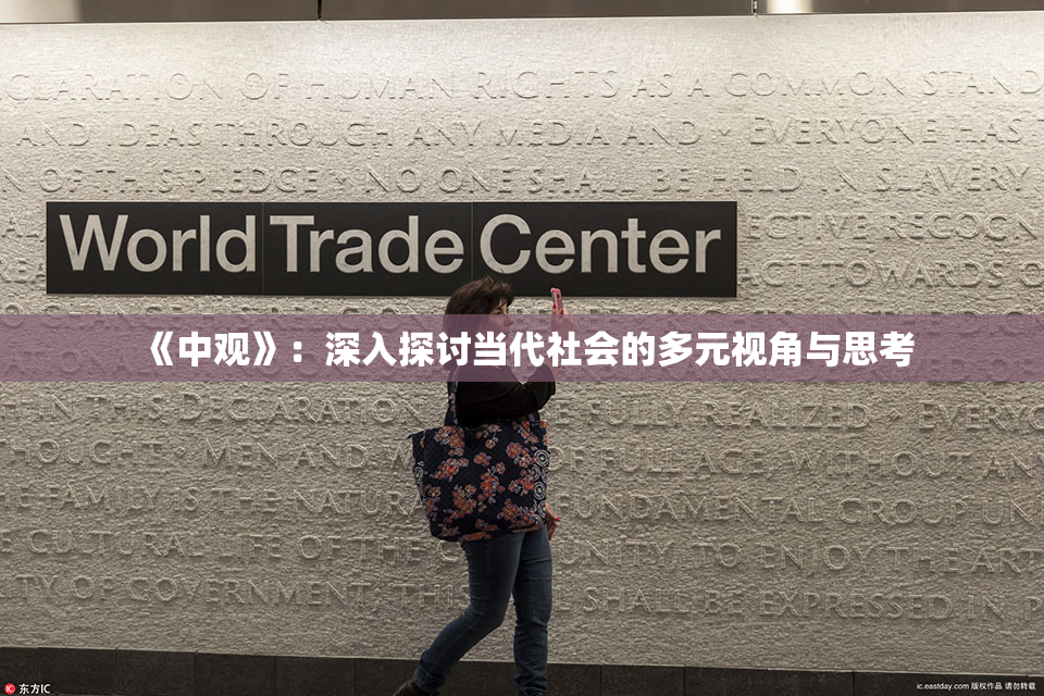 《中观》：深入探讨当代社会的多元视角与思考