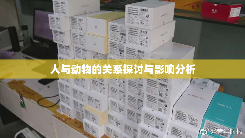人与动物的关系探讨与影响分析