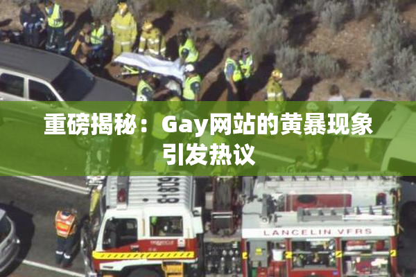 重磅揭秘：Gay网站的黄暴现象引发热议