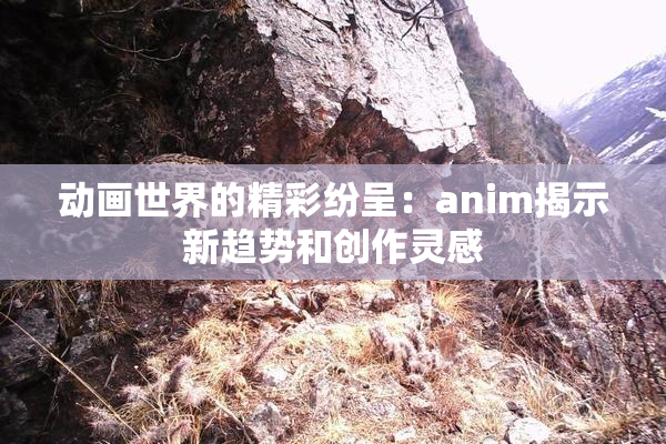 动画世界的精彩纷呈：anim揭示新趋势和创作灵感