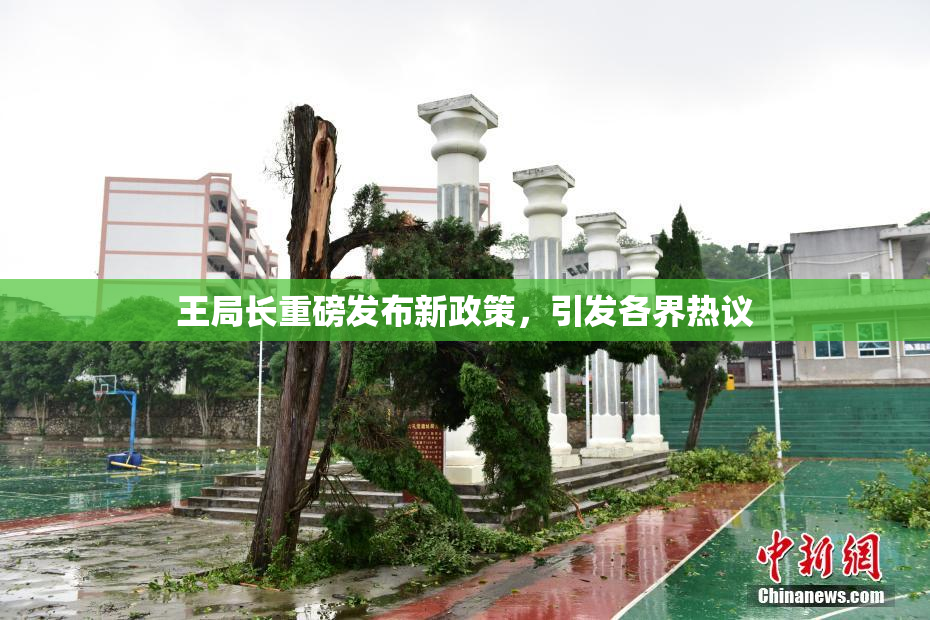 王局长重磅发布新政策，引发各界热议