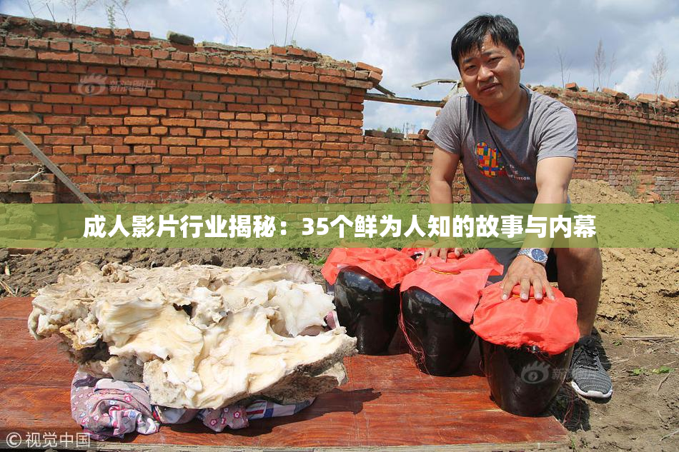 成人影片行业揭秘：35个鲜为人知的故事与内幕