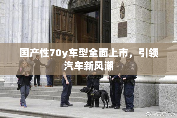 国产性70y车型全面上市，引领汽车新风潮