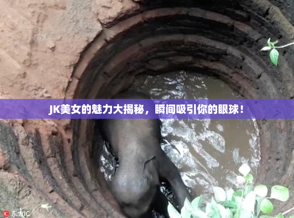 JK美女的魅力大揭秘，瞬间吸引你的眼球！