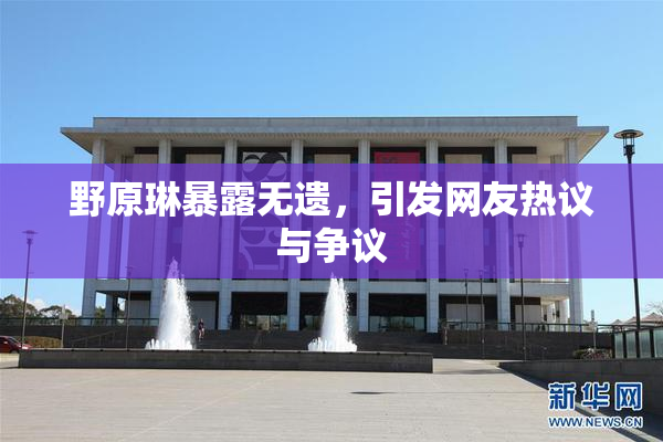 野原琳暴露无遗，引发网友热议与争议