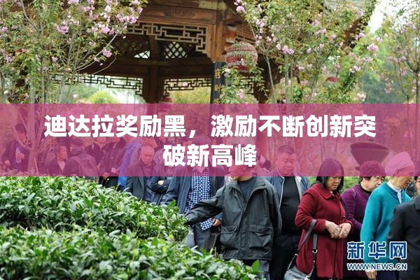 迪达拉奖励黑，激励不断创新突破新高峰