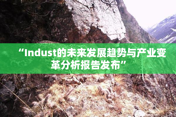 “Indust的未来发展趋势与产业变革分析报告发布”