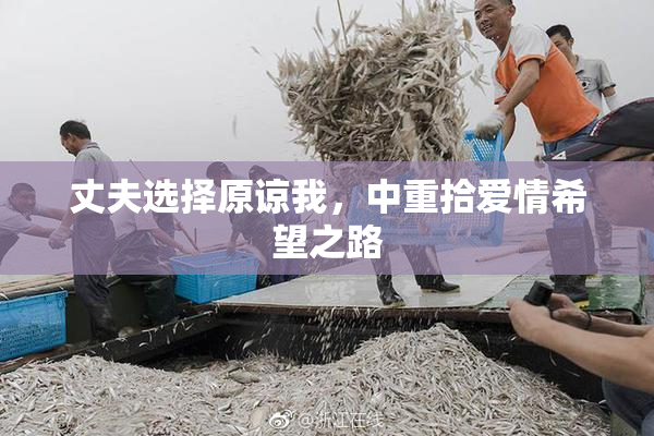 丈夫选择原谅我，中重拾爱情希望之路