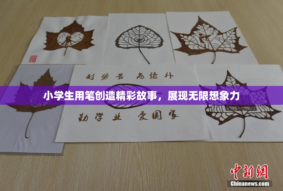 小学生用笔创造精彩故事，展现无限想象力