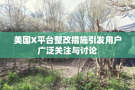美国X平台整改措施引发用户广泛关注与讨论