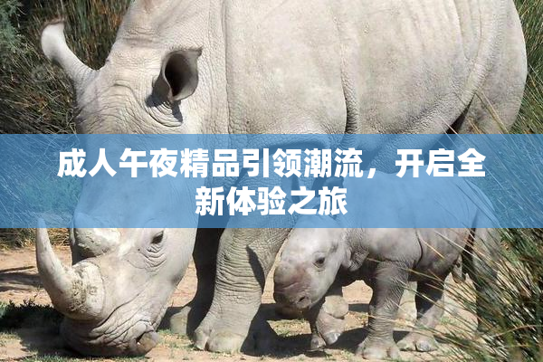 成人午夜精品引领潮流，开启全新体验之旅